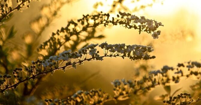 I'm Back from Maternity Leave — And So Excited to See You Again! image