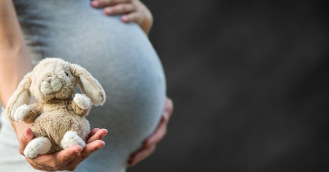 Part 2: Pregnancy & Postpartum—A Core That’s Adapting