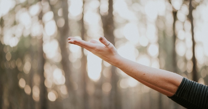 Evidence Based Chiropractic Care