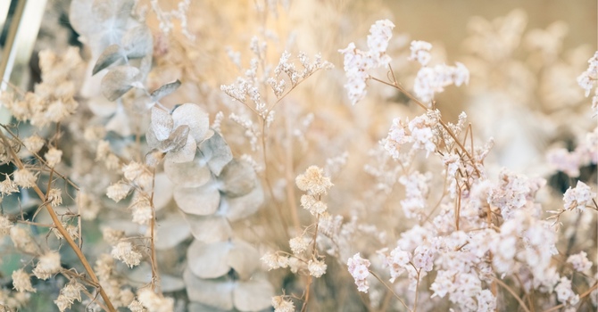 Thriving with Chiropractic Care image