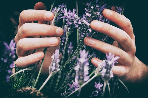 Nadine Hebdon