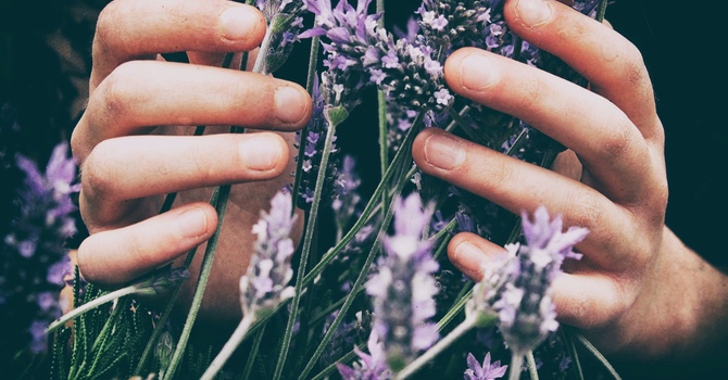 Evidence Based Chiropractic Care